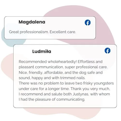 Golden Pets petsitting catsitting Cracow opinion (10)