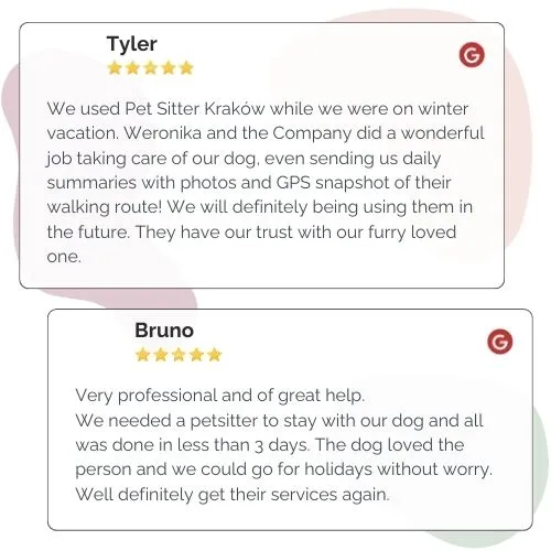 Golden Pets petsitting catsitting Cracow opinion (3)