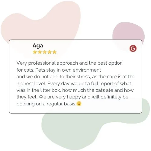 Golden Pets petsitting catsitting Cracow opinion (4)