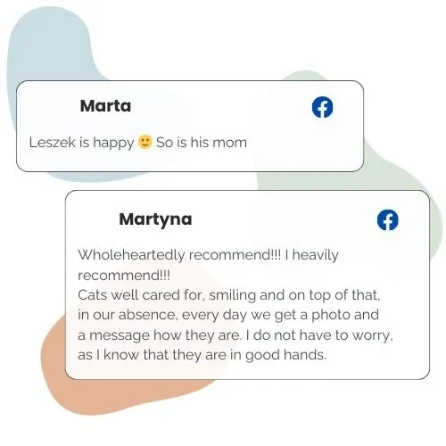 Golden Pets petsitting catsitting Cracow opinion (8)