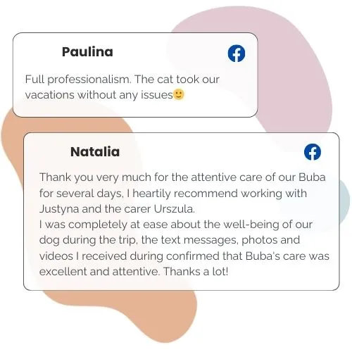Golden Pets petsitting catsitting Cracow opinion (9)